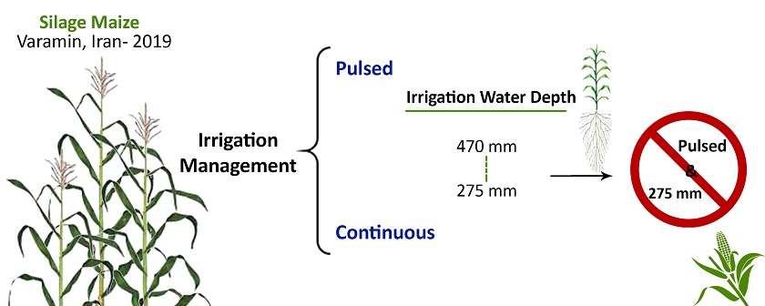 Determining yield response factor (ky) of silage maize under different irrigation levels of pulsed and continuous irrigation management 